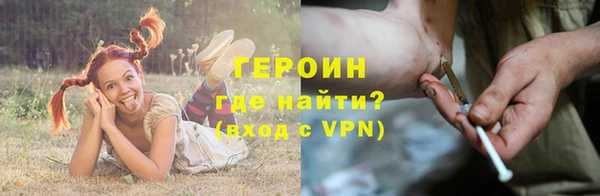 сатива Аркадак