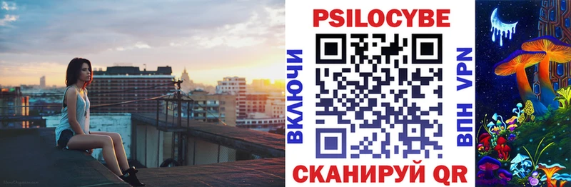 наркошоп  Ельня  это клад  Галлюциногенные грибы Psilocybine cubensis 
